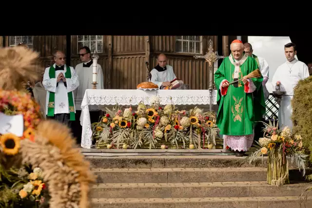 Ksiądz kardynał Kazimierz Nycz podczas mszy dożynkowej w Lewiczynie.