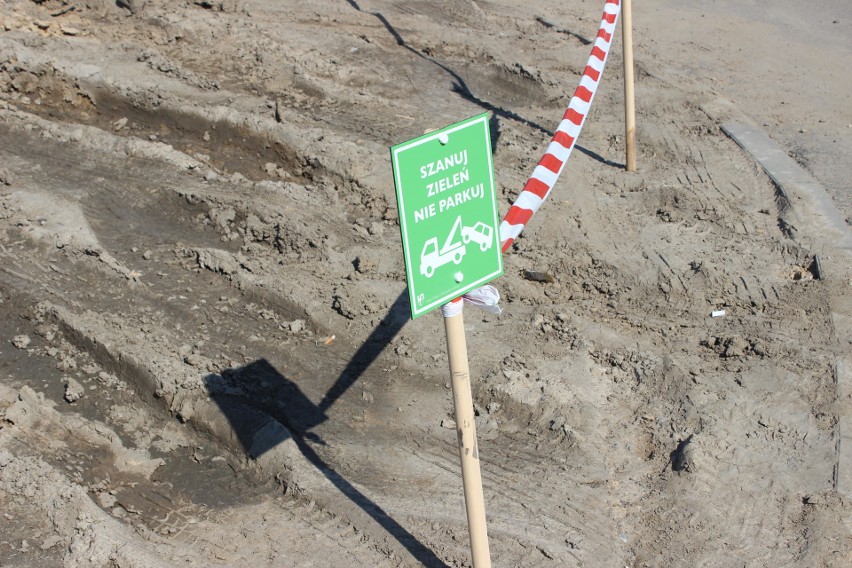 Tabliczki "Szanuj zieleń, nie parkuj" pojawiły się na...