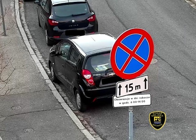 Wprowadzenie nowej polityki parkingowej w Katowicach sprawiło, że kierowcy mają mniej problemów ze znalezieniem wolnego miejsca w centrum miasta. Mimo to najwięcej interwencji tradycyjnie dotyczyło Śródmieścia - 224