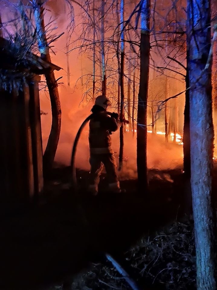 Pożar lasu w Bukowie.
