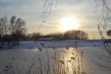 Gliwice: Zimowy spacer nad jeziorem w Czechowicach ZDJĘCIA