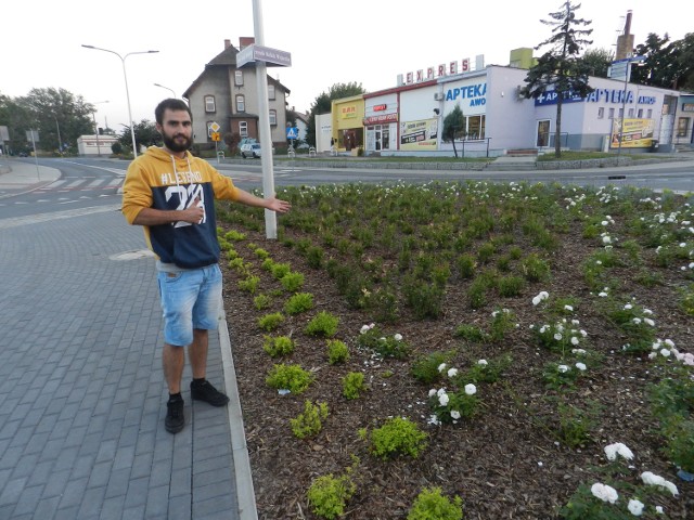 Piotr Kucharski uważa, że miasto powinno wydawać sporo na zieleń, nawet jeśli mowa o milionach. Na zdjęciu rondo Wojaczka, którego ukwiecenie kosztowało 90 tys. złotych.