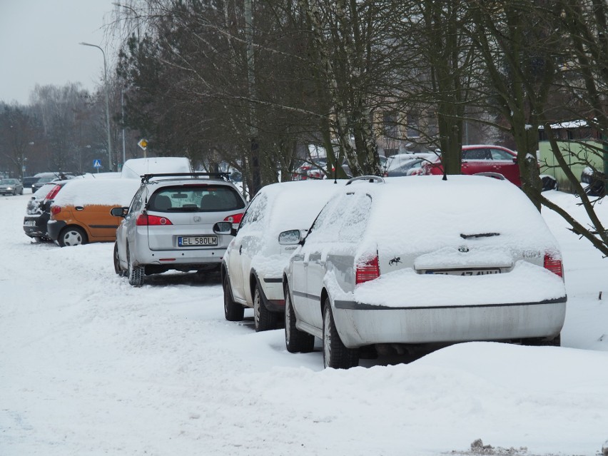 Taki krajobraz tej zimy może być w Łodzi rzadki.