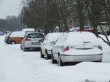Zima w Łodzi. Jaka będzie zima 2023/2024? Wstępna prognoza pogody Instytutu Meteorologii i Gospodarki Wodnej w Warszawie