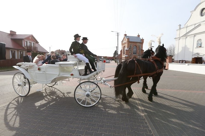 Nasz rolnik się ożenił. Obejrzyj zdjęcia ze ślubu