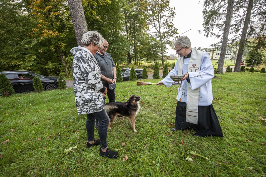 Święcenie zwierząt w Manowie