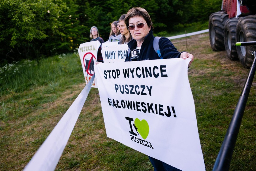 Trwa trzecia blokada wycinki w Puszczy Białowieskiej (zdjęcia)