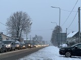 Atak zimy w Żorach. Na drogach tworzą się korki, bo jest bardzo ślisko. Śnieżna poducha pięknie pokryła drzewa i krzewy ZDJĘCIA