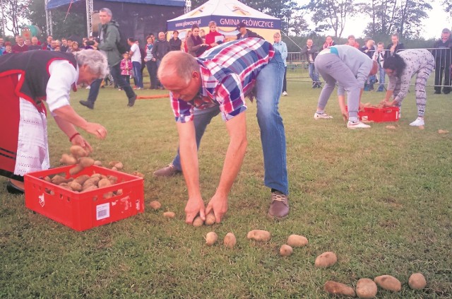 Jedną z konkurencji podczas Turnieju Sołectw było zbieranie ziemniaków na czas