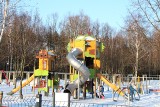 Sosnowiec: zima w parku Kuronia w Kazimierzu [ZDJĘCIA] 