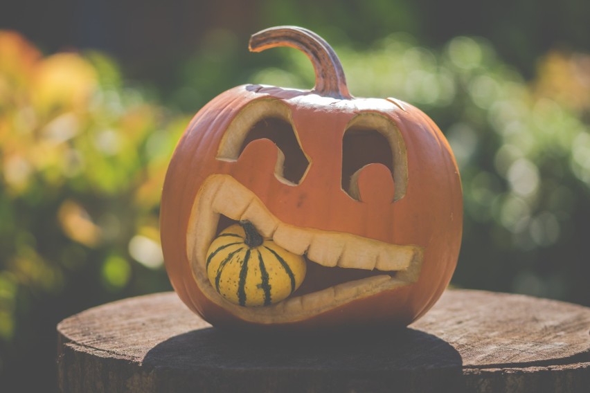  Jak przygotować dynię na Halloween? Dyniowy zawrót głowy. DIY. Zobacz inspiracje i ZDJĘCIA