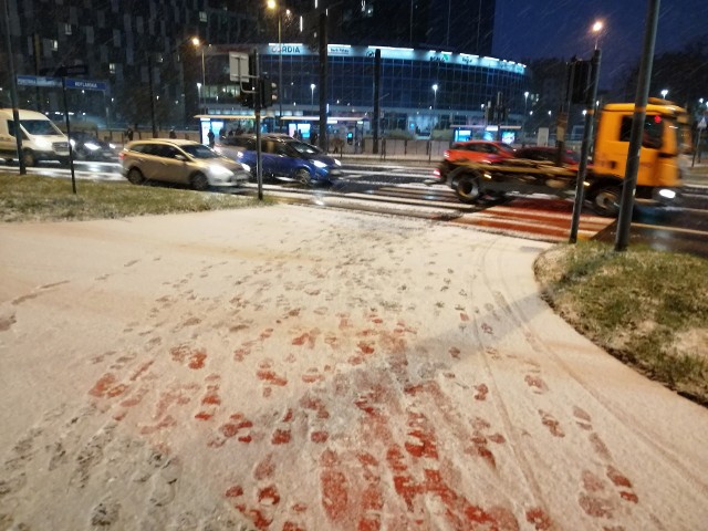 Takie były warunki na drogach i chodnikach o godz. 6.30 rano w Krakowie.