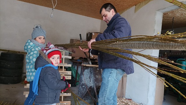 Mateusz Machał z Lipnicy Murowanej w trakcie wykonywania 14-metrowej palmy. Pomagają mu dzieci: 8-letnia Natalia i 4-letni Bartłomiej