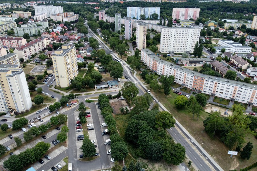 Szczecin w TOP 10 najbardziej zalesionych miast
