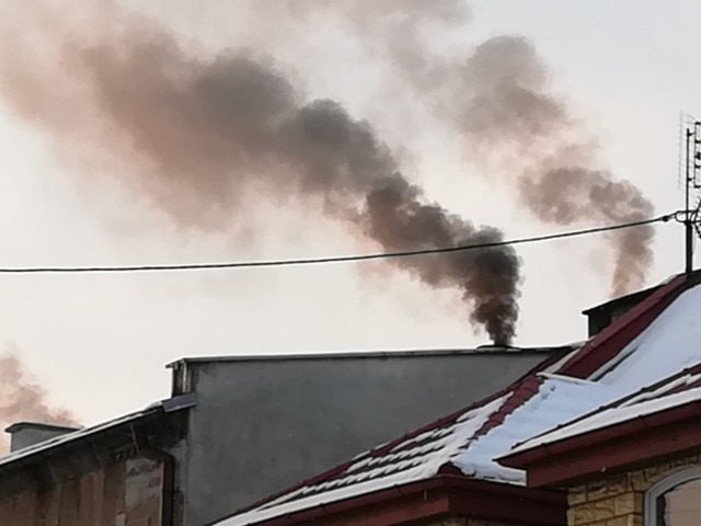 Strażnicy miejscy z Ekopatrolu ujawnili podczas interwencji na bydgoskim Górzyskowie, że w piecu kaflowym spalany był lakierowany parkiet, który dodatkowo był pokryty smołą.