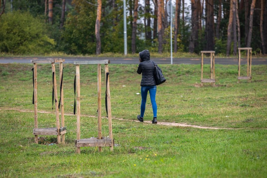 Przy pętli Niepodległości w Bydgoszczy miało być zielono. Kiedy będą tam drzewa?