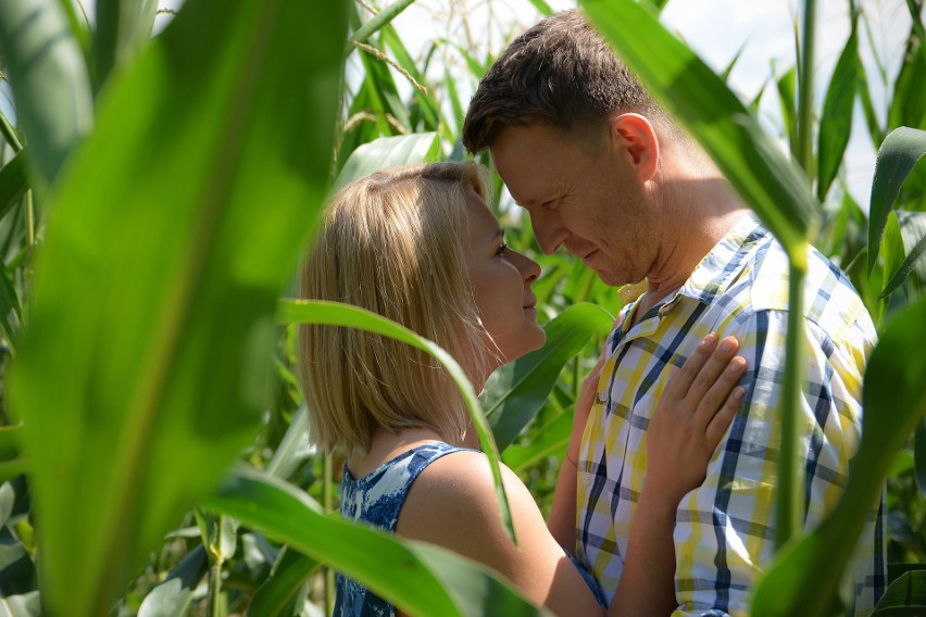 Marysia i Michał spędzą upojne chwile w polu kukurydzy...