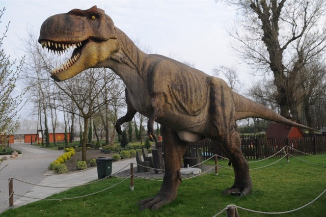 Dinozaury staną w Strzeszynku. Podobne parki mają już inne polskie miasta