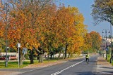 Jesienny Wąchock zachwyca swoimi barwami. Zobaczcie wyjątkowe obrazy [ZDJĘCIA]