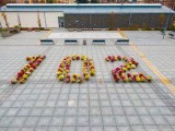 102 chryzantemy zdobią centrum Sandomierza z okazji 102 rocznicy odzyskania przez Polskę niepodległości [ZDJĘCIA]