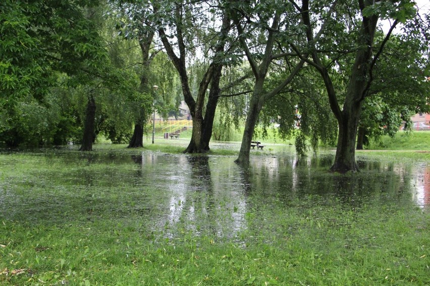 Białystok. Park Antoniuk pod wodą. Nad Białką pojawiły się jeziorka (zdjęcia)