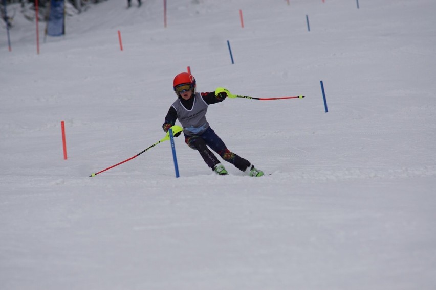 Mistrzostwa WZN w slalomie na Czarnej Górze - 13.01.2017 r.