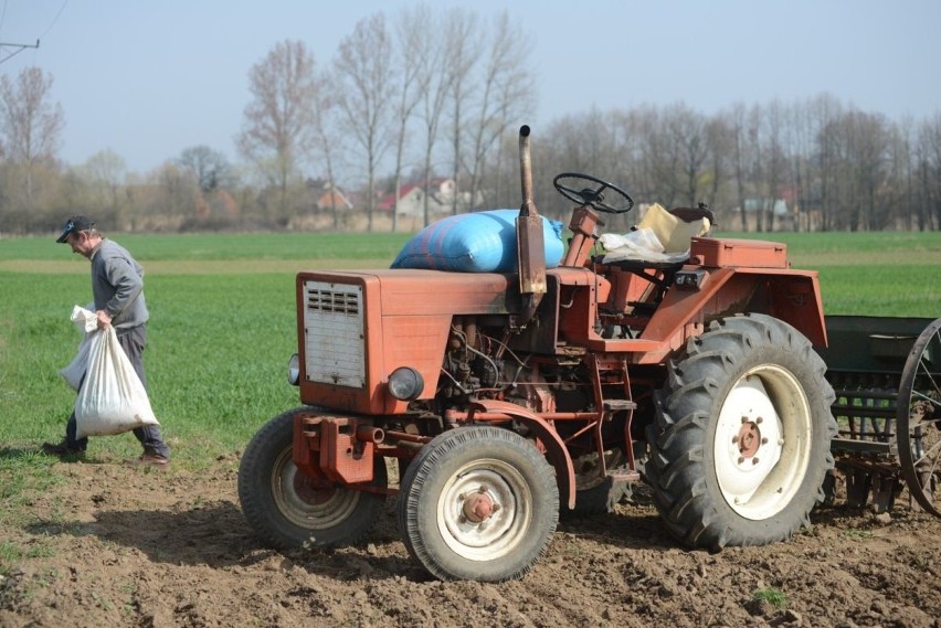 Traktor, czyli ciągnik rolniczy nazywany był nawet......