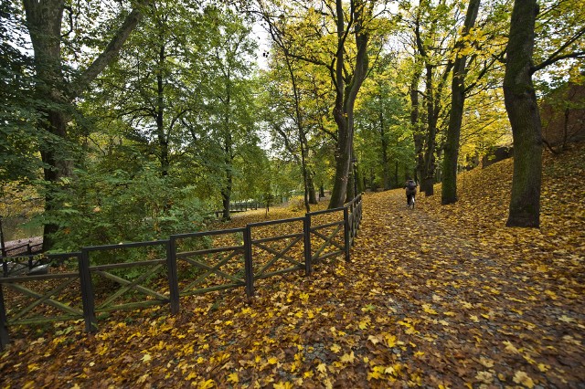 Piękny park w Koszalinie w jesiennej szacie.