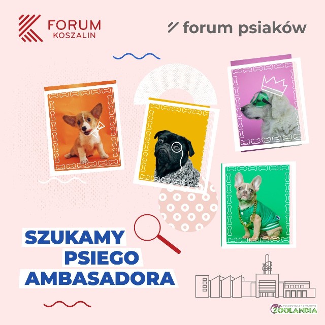 Forum Koszalin dołączyło do grona miejsc przyjaznym zwierzętom.
