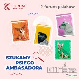 Forum Koszalin chce mieć psiego ambasadora. Twój pupil może zostać „pyszczkiem” kampanii!