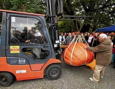 Niektóre ze zgłoszonych do konkursu dyń ważyły kilkaset kilogramów FOT. JAROSLAW JAKUBCZAK