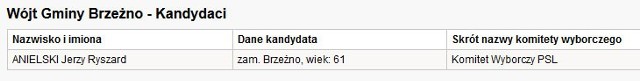 Wybory samorządowe 2014 - gmina Brzeżno. Kandydaci na wójta.
