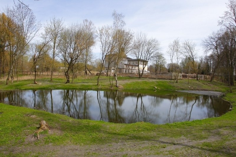 W parku Nadolnik znów rozpoczną się prace. Powstanie plac...