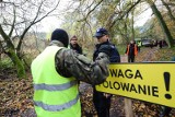 Będzie więzienie za wejście do lasu w czasie polowań? Lex Ardanowski to plan na walkę z wirusem ASF