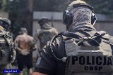 Polscy, czescy i hiszpańscy śledczy rozbili międzynarodowy gang narkotykowy 