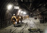 Górnicy apelują do premiera w sprawie importu węgla z Rosji. Ziętek: "Przestańmy finansować zbrodniczą politykę Putina"