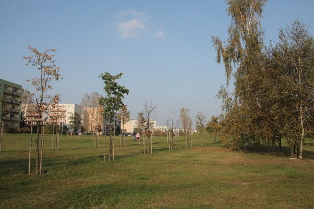 Park na Olechowie jest najmłodszy w Łodzi.