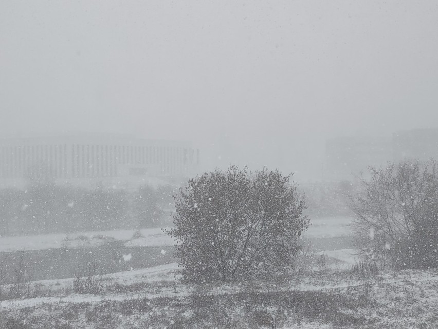 IMGW wydał ostrzeżenia meteorologiczne. Będą przymrozki, wichury i śnieg. Trudne warunki na drogach w Wielkopolsce