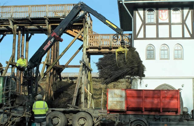 Dzięki trwającemu gruntownemu remontowi, można obecnie zobaczyć, jak wygląda drewniana konstrukcja tężni w Inowrocławiu. Taka okazja pojawia się raz na wiele lat. Warto więc wybrać się na spacer do Parku Zdrojowego, by obejrzeć tę ciekawostkę