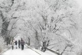 Uwaga śnieg i oblodzenia! Ostrzeżenie meteorologiczne 12 stycznia dla Łodzi i województwa. Prognoza pogody dla Łodzi na wtorek 12.01.2021