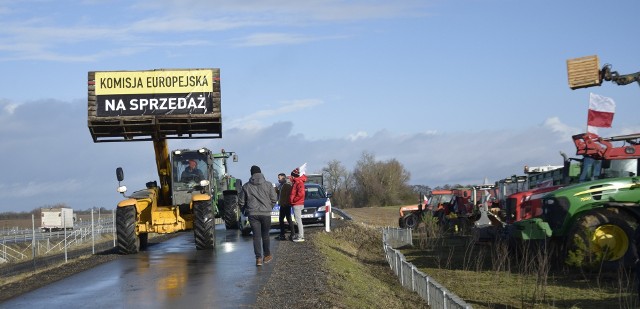 24 stycznia protesty rolników odbyły się w ponad 250 miejscach w Polsce (na zdj. demonstracja w pow. bydgoskim). Protestujący chcieli wywrzeć presję na Komisję Europejską, aby zmieniła podejście do niekontrolowanego napływu żywności z Ukrainy do krajów Wspólnoty oraz założenia Europejskiego Zielonego Ładu. Gdy polscy rolnicy protestowali, w Komisji Europejskiej nadal trwały dyskusje na temat m.in. limitów importowych jaj, drobiu i cukru. - Najnowsze propozycje Komisji nie rozwiązują problemu nadmiernego importu z Ukrainy - powiedział Polskiemu Radiu Janusz Wojciechowski, komisarz do spraw rolnictwa .„(...)Po raz pierwszy publicznie i oficjalnie nie zgodził się on z ograniczeniami proponowanymi przez wiceszefa Komisji Europejskiej odpowiedzialnego za handel Valdisa Dombrovskisa.(…) - napisano na stronie polskieradio24.pl .