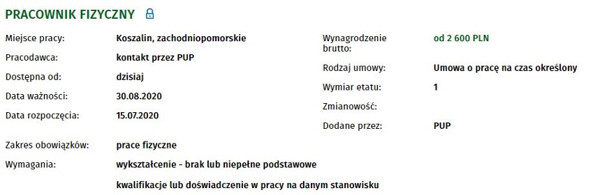 50 nowych ofert pracy w Koszalinie i okolicach. Sprawdź!