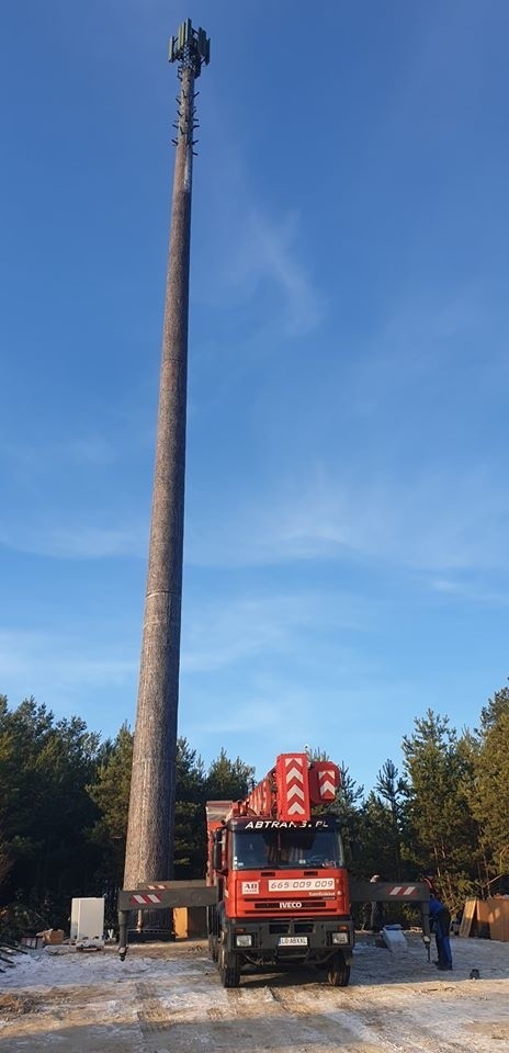 Nadajnik sieci komórkowej udaje drzewo. Na Roztoczu stanęła pierwsza taka antena w Polsce. Zobacz zdjęcia!