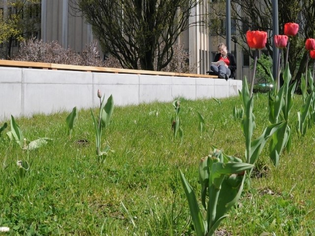 Ogłoszenie wyników i wręczenie nagród nastąpi do 30 września