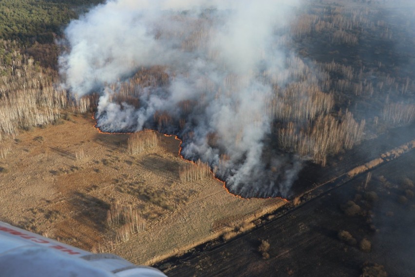 Ogień trawił lasy w pobliżu strefy wykluczenia od 4 kwietnia