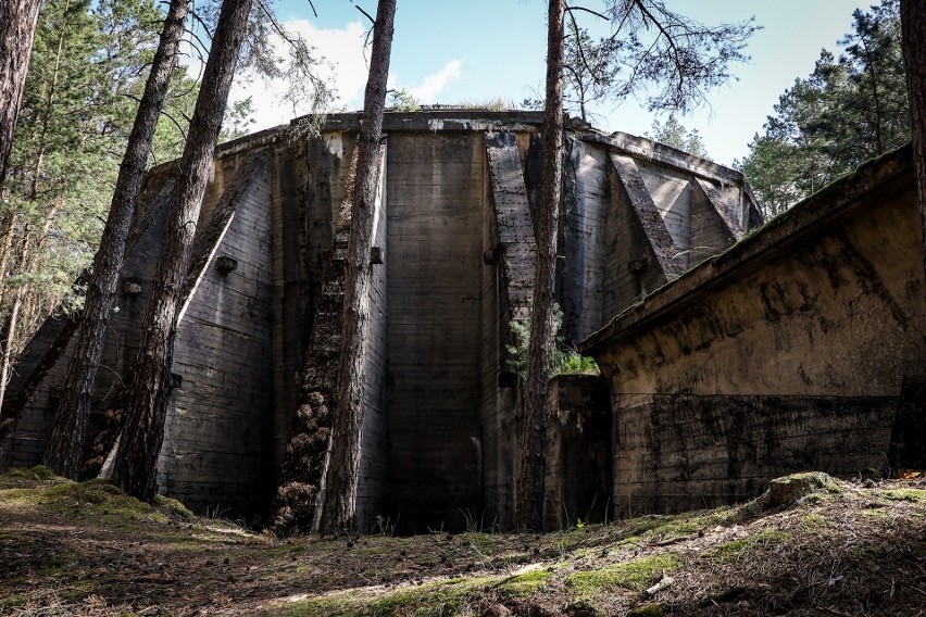 Las pod Nowogrodem Bobrzańskim kryje niejedną tajemnicę....