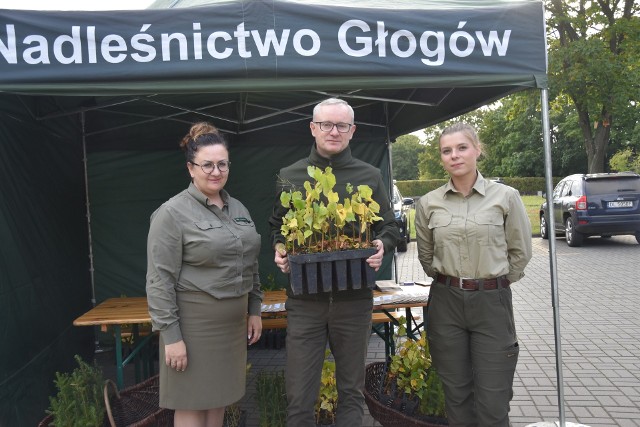W Głogowie nikomu nie zabraknie sadzonek - zapewnia Hubert Kawalec, zastępca Nadleśniczego Nadleśnictwa Głogów