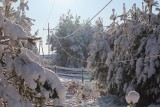 Ponad pół tysiąca domów w regionie słupskim bez prądu. Przerwane linie średniego napięcia. Energa usuwa awarię