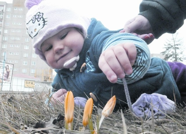 Lilly Dębicka wybrała się z rodzicami na poszukiwanie wiosny. I o dziwo, udało się wytropić jej pierwsze ślady.