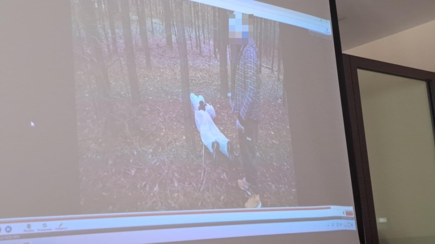 Po głośnym zabójstwie 24-latka w lesie koło Piekoszowie: motywy i eksperyment procesowy przed sądem. Zobacz zdjęcia